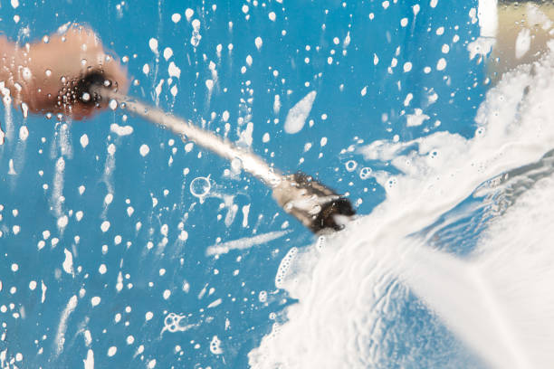 Best Animal Enclosure Cleaning  in Bayonet Point, FL