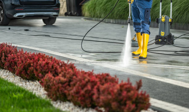 Best Fence Cleaning  in Bayonet Point, FL